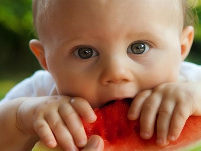 ¿Qué alimentos son fundamentales en la dieta de los más pequeños?
